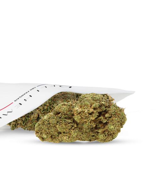 FLEURS CBD - GELATO - GLASSHOUSE