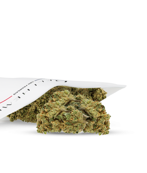 FLEURS CBD - BLUEBERRY - HYDROCULTURE