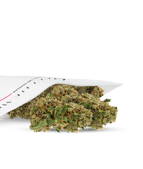 CBD FLOWERS - ORANGE SORBET - HYDROCULTURE