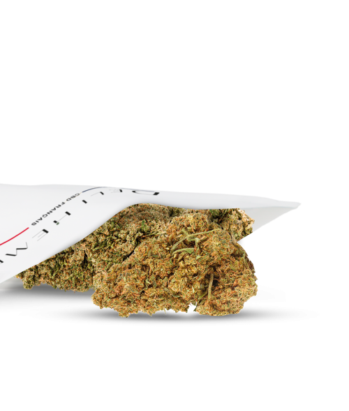 FLEURS CBD - PINEAPPLE - GREEN HOUSE