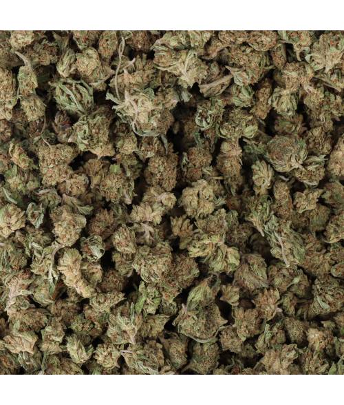 FLEURS CBD - SMALL BUD AMNESIA