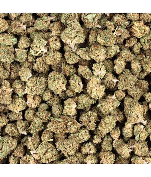 FLEUR HYDRO  - MAC  SMALL BUD