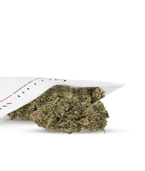 FLEURS CBD - AMNESIA - GREEN HOUSE