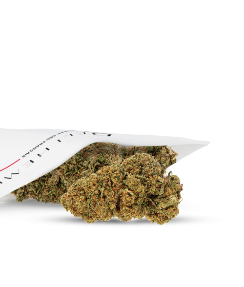 FLEURS CBD - BANANA SMASH - INDOOR