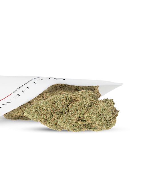 FLEURS CBD - MAC HYDROCULTURE