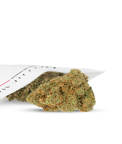 FLEURS CBD - GLOOKIES - HYDRO